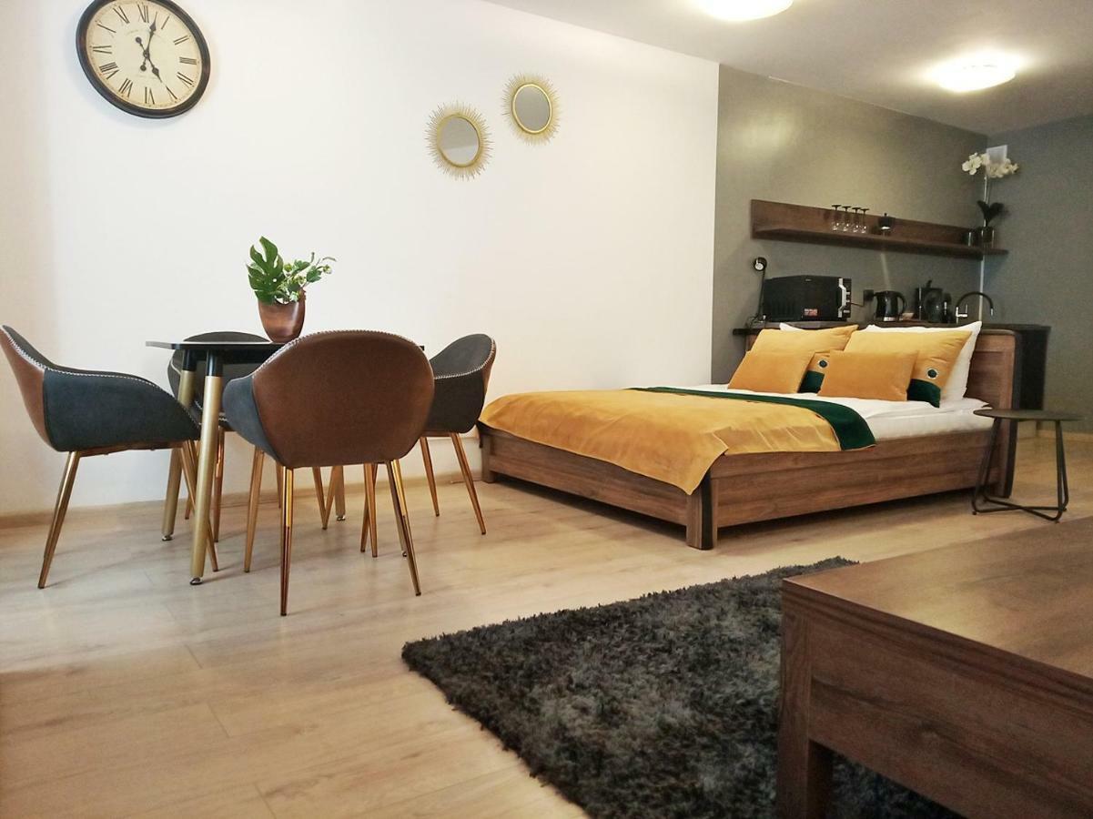 Downtown Studio Apartment Zielona Gora  Exterior photo